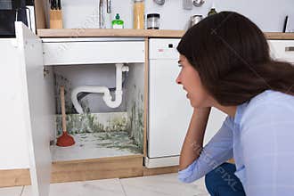 Woman Looking At Mold In Cabinet Area