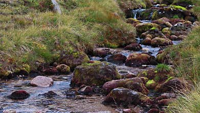 Gentle allt t-Sneachda flowing below the ridge during august in the cairngorms national park, scotland.