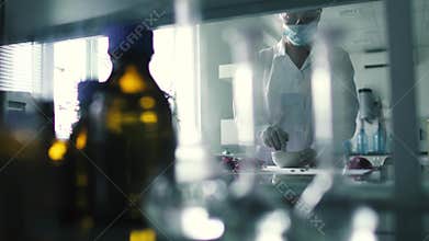Laboratory assistant prepares the extract in the laboratory