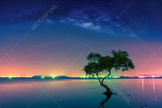 Landscape with Milky way galaxy. Night sky with stars and silhouette mangrove tree in sea. Long exposure photograph.
