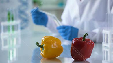 Pepper vegetables on laboratory table, center researcher checking food safety