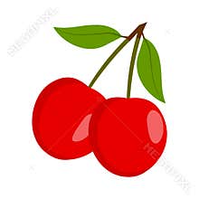 Cherry vector.Fresh cherry illustration