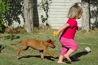 Child and puppy pet