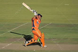 Cricket action