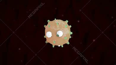 White blood cells destroys a bacterial virus cell