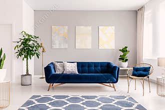 Royal blue couch with two pillows standing in real photo of bright living room interior with fresh plants, window with curtains, t