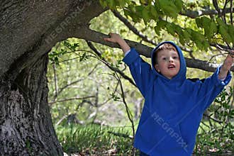 Cute Boy and Tree