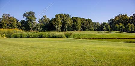 Beautiful green summer lane with pond and trees against clear blue sky. Spring and summer park landscape. Golf field with lake.