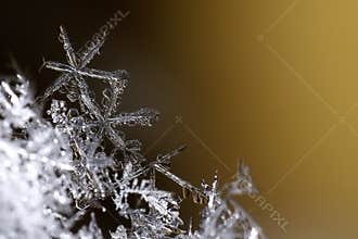 Macro snowflake