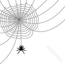 Spider Web/AI file