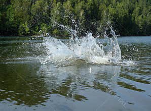 Big water splash in lake
