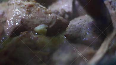 Cooking meat stew