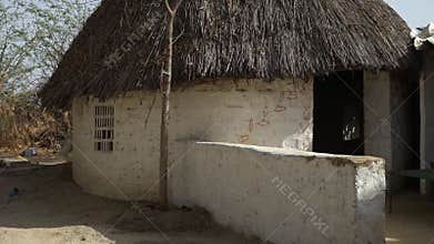 Trees in front of a house