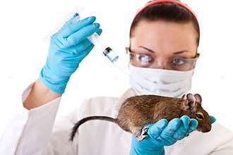 Laboratory animal research