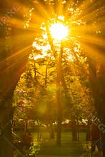 Sun Light