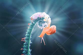 Snails, snails in flowers with a blue background