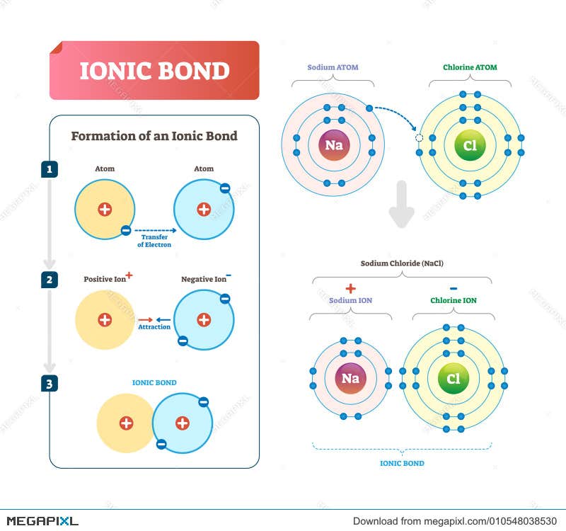 Covalence Clipart And Illustrations