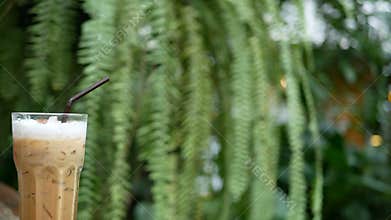 4K footage cinemagraph of a cup of cold ice coffee with green leaf of garden view with gentle wind for background