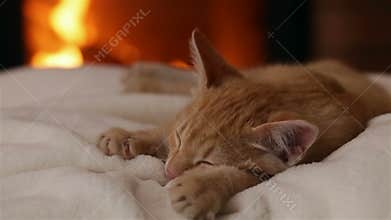 Kitten sleeping at the fireplace on white blanket