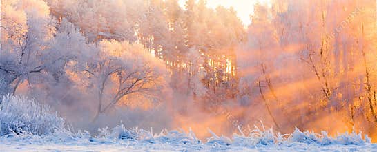 Winter landscape. Beautiful Christmas morning outdoors. Winter forest with bright sunshine and sunbeams. Panorama of frosty winter