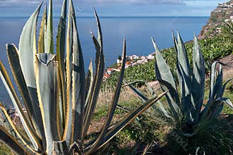 Landscape of Madeira from Miradouro da Torre