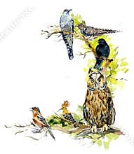 Birds background, frame. Decoration with wildlife scene. Hand drawn watercolor illustration