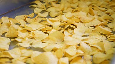 Lots of fried crisps transported on automated line at a food plant.