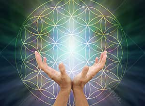 The Flower of Life Mandala