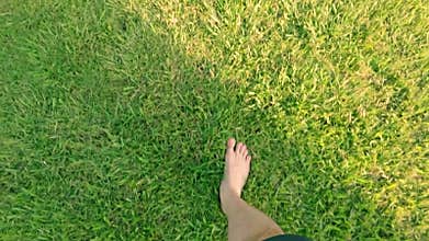 Bare feet walking on the grass POV, concept of freedom and happiness in slow motion