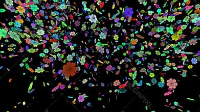Confetti explode from middle to left and right