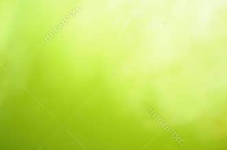 Green background