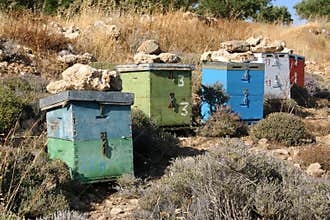 Crete / Beekeeping