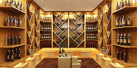 Modern wine cellar in a big house