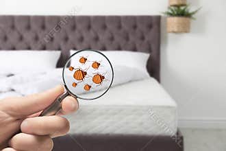 Woman with magnifying glass detecting bed bugs on mattress, closeup.