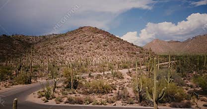 Drone flying backwards from desert hill and empty road fork in large cactus field at sunny Arizona national park reserve