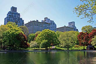 Central Park