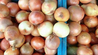 Onions and cabbage on the street market