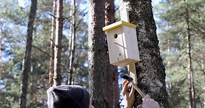 Man nailing bird house on the tree trunk
