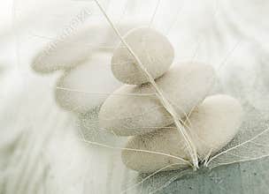 Spa Zen Stones