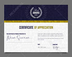 Professional certificate. Template diploma with luxury and modern pattern background. Achievement certificate