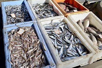 Trade is fresher fish from boxes in the market