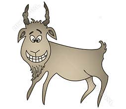Cheerful goat