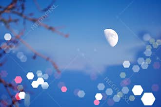 The beautiful moon at night is shining with fascinating brilliance.