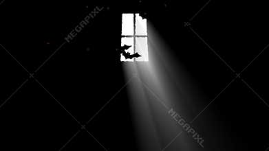 Bats Flying in a Haunted House Through a Beam of Light