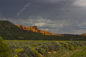 Red Canyon Area ,Utah