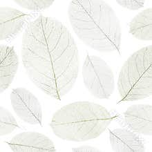 Dried leafs seamless background.