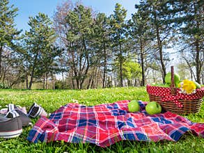 A picnic background with basket and blanket outdoors