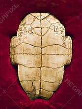 Oracle-bone inscription