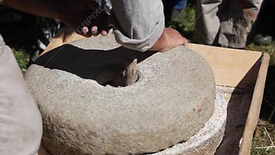 Experimental grinding and ancient flour production