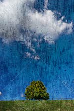 Textured nature landscape